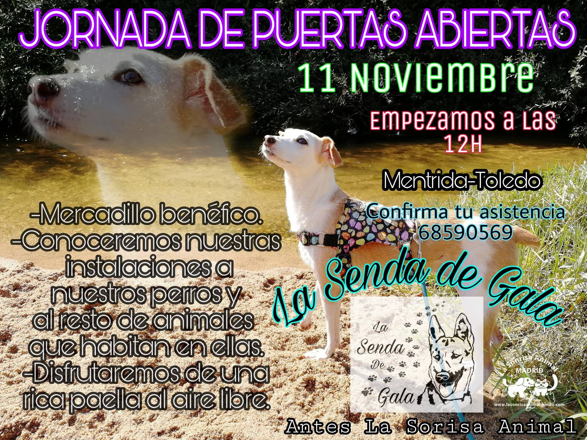 jornada puertas abiertas
