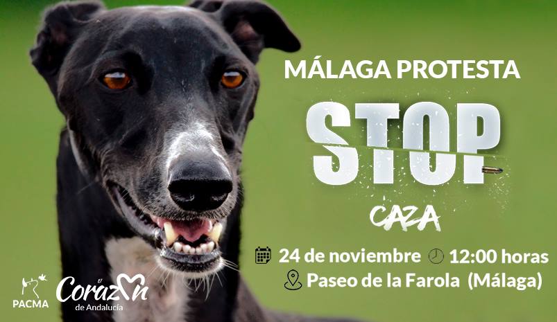 manifestacion stop caza