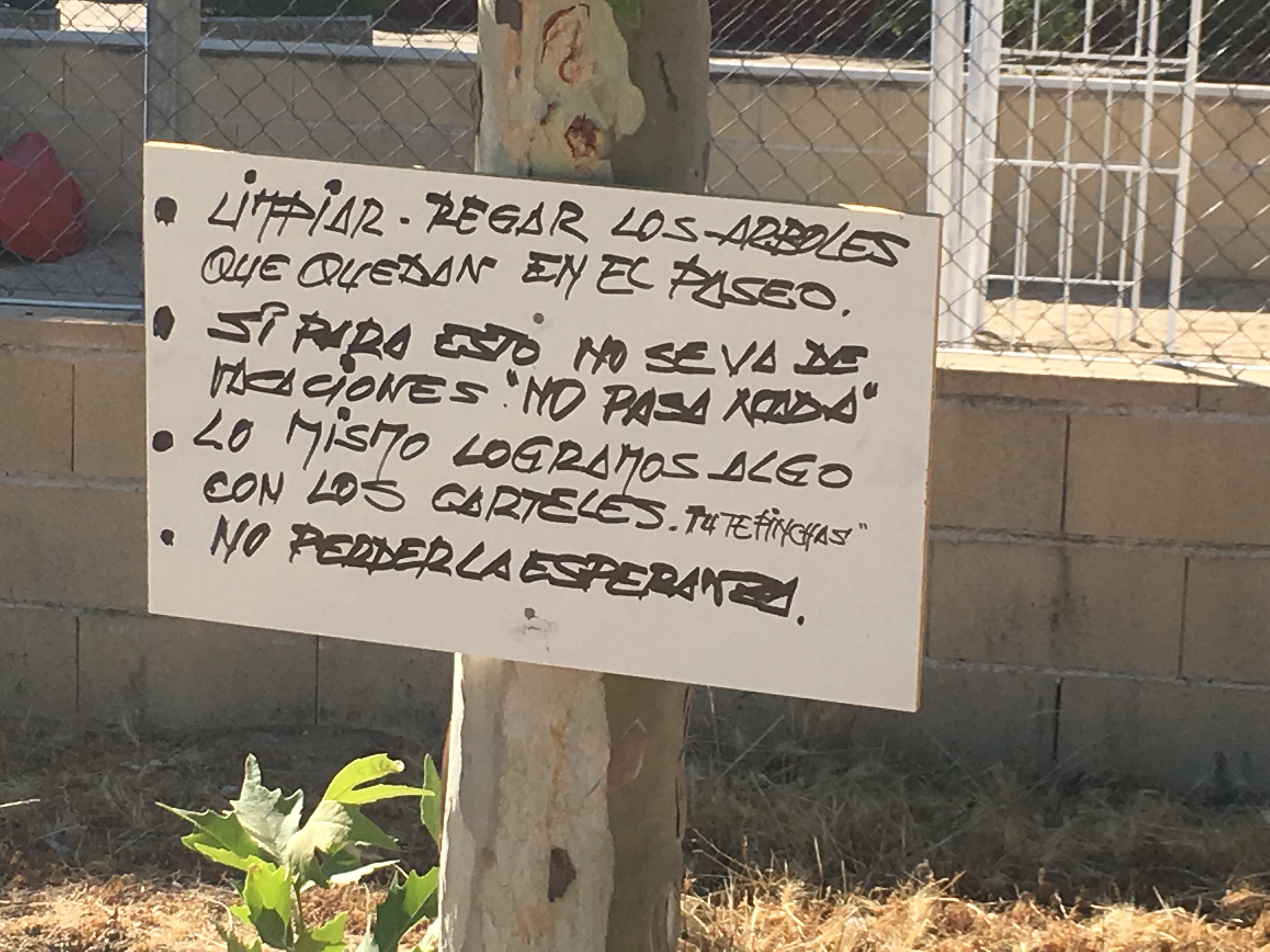 arboles secos carranque