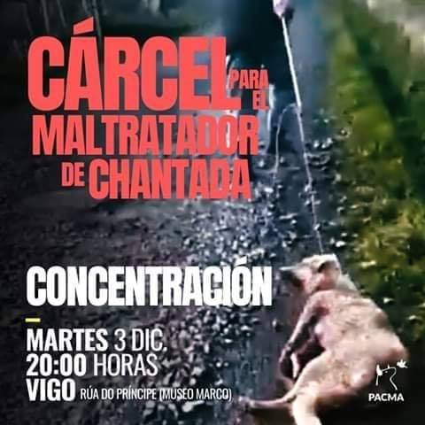 manifestation vigo