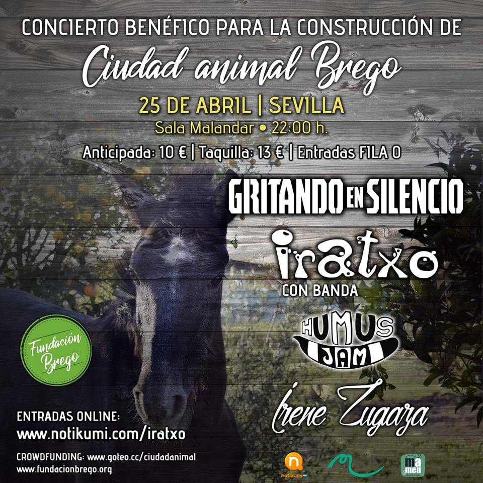 concierto benéfico brego