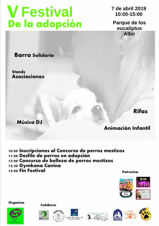 festival adopcion albir