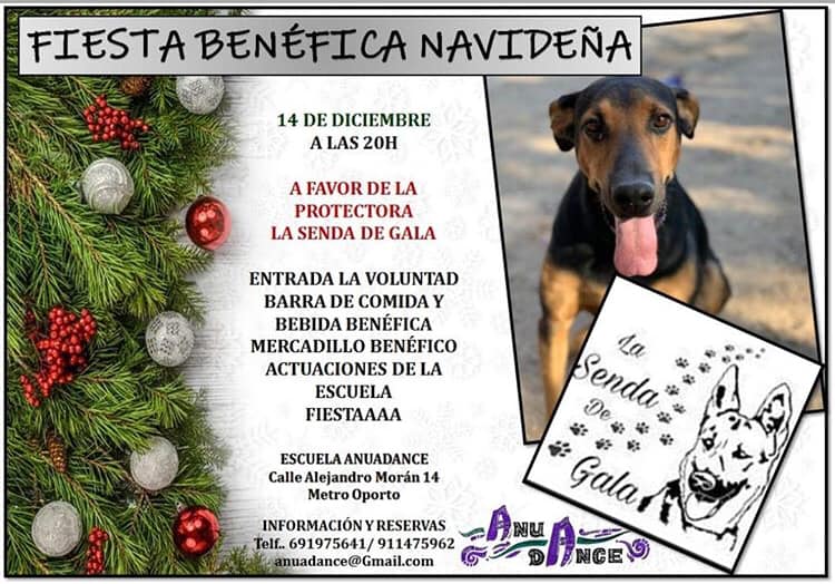 fiesta benefica madrid