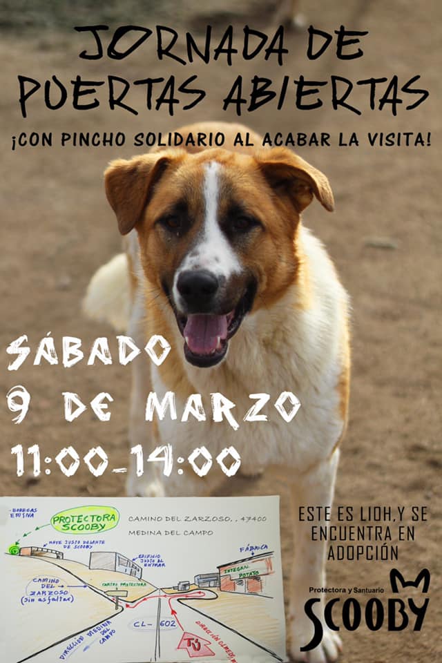 jornada puertas abiertas