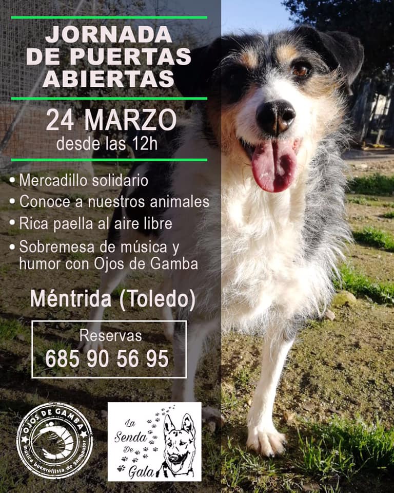 jornada puertas abiertas