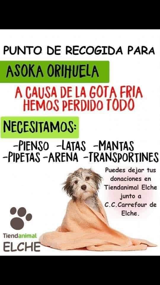 recogida material orihuela