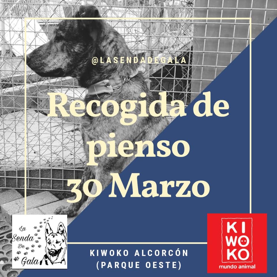 recogida pienso