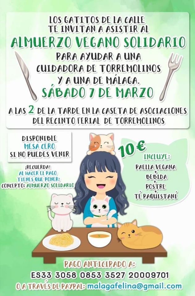 almuerzo vegano torremolinos