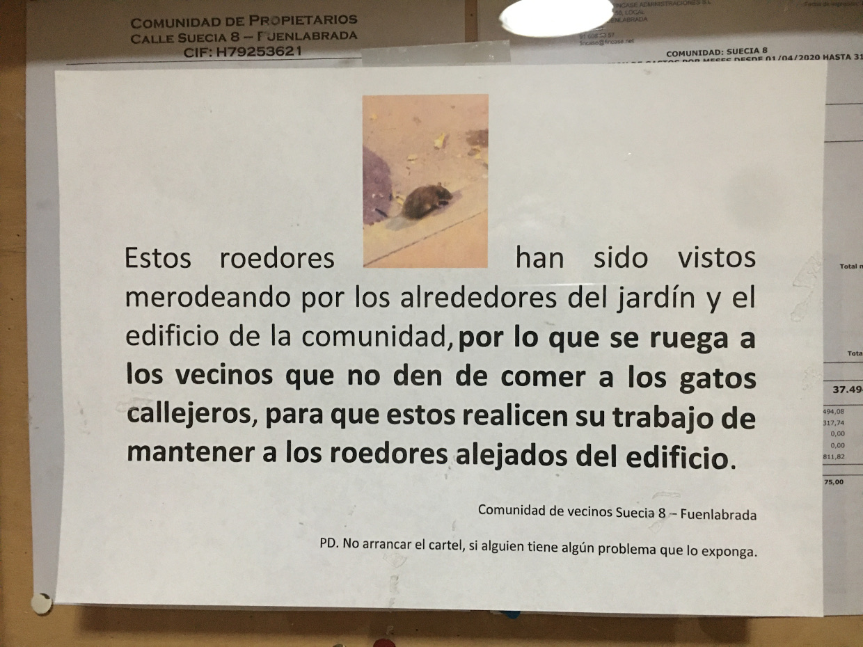 cartel ratones fuenla