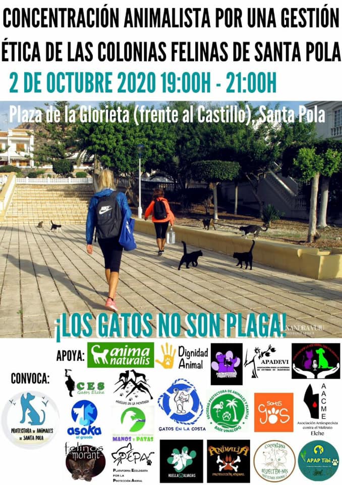 concentracion colonias santa pola