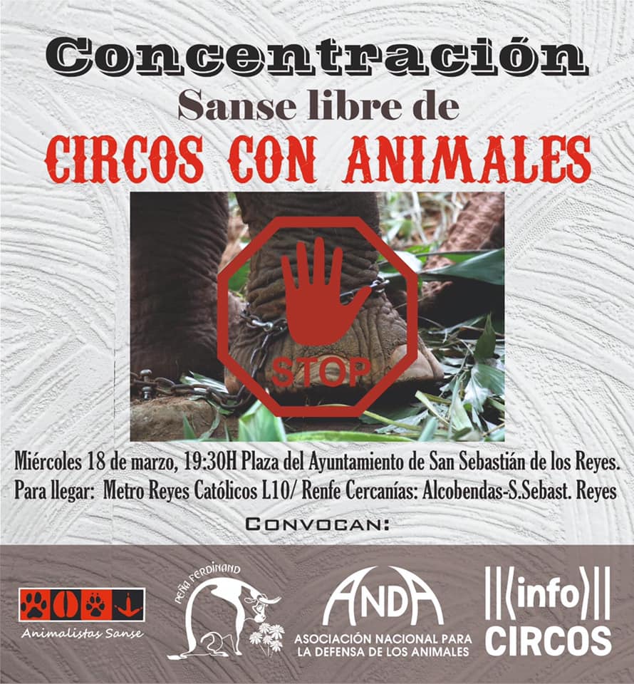 no al os circos con animales