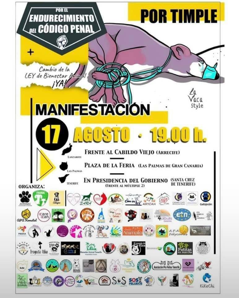 manifestacion canarias
