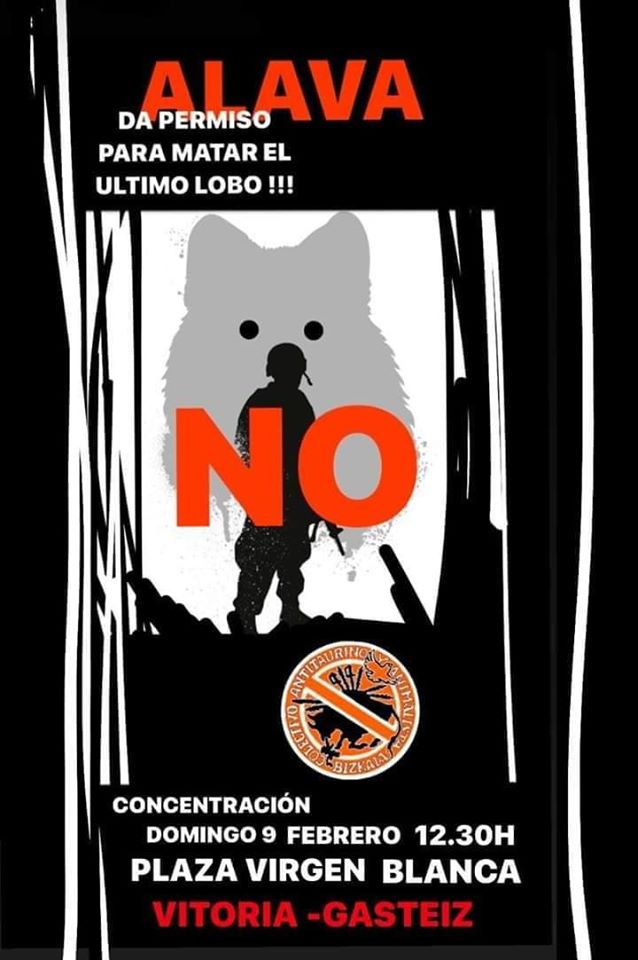 no a la caza del lobo
