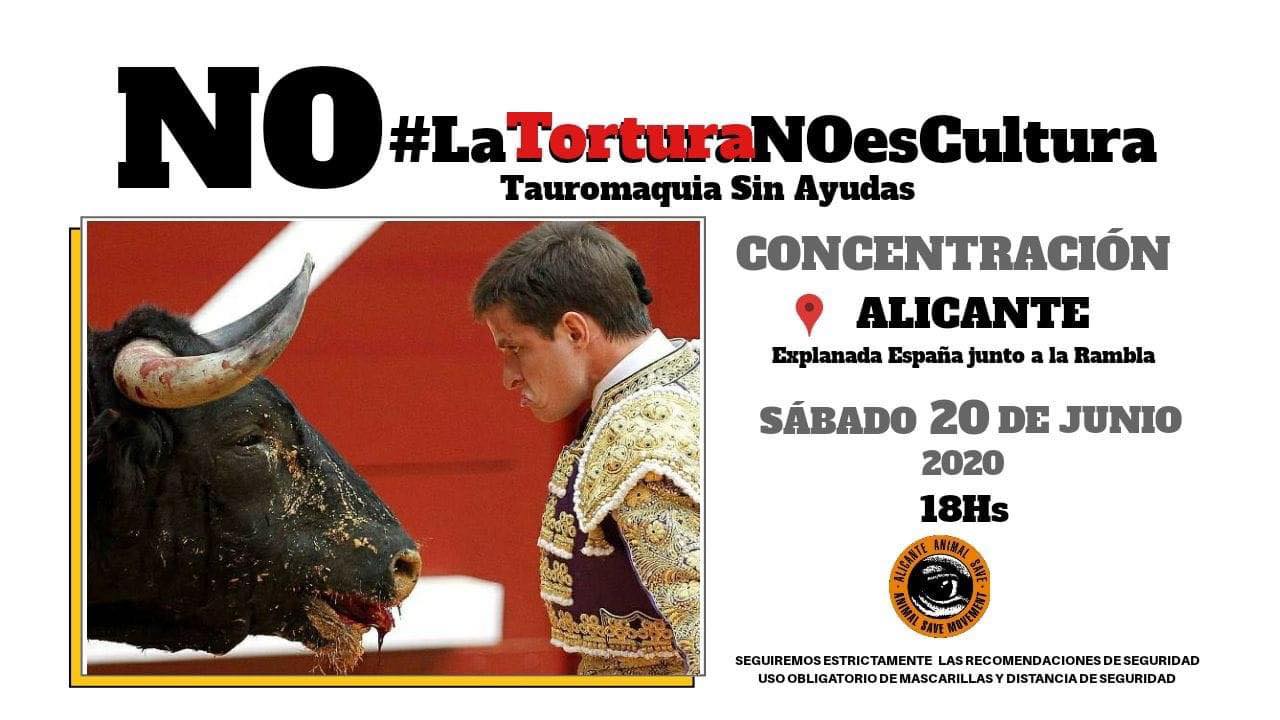 manifestacion alicante