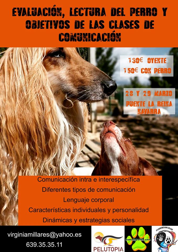 taller navarra