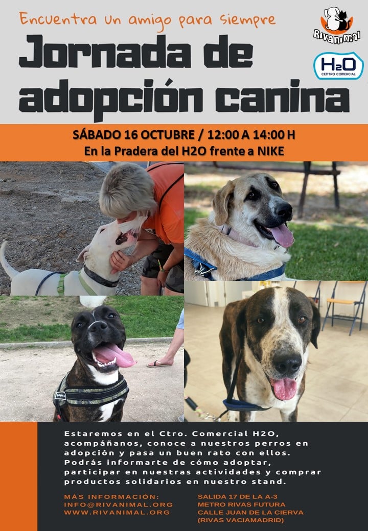 adopcion rivas