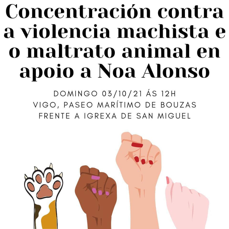 manifestacion vigo