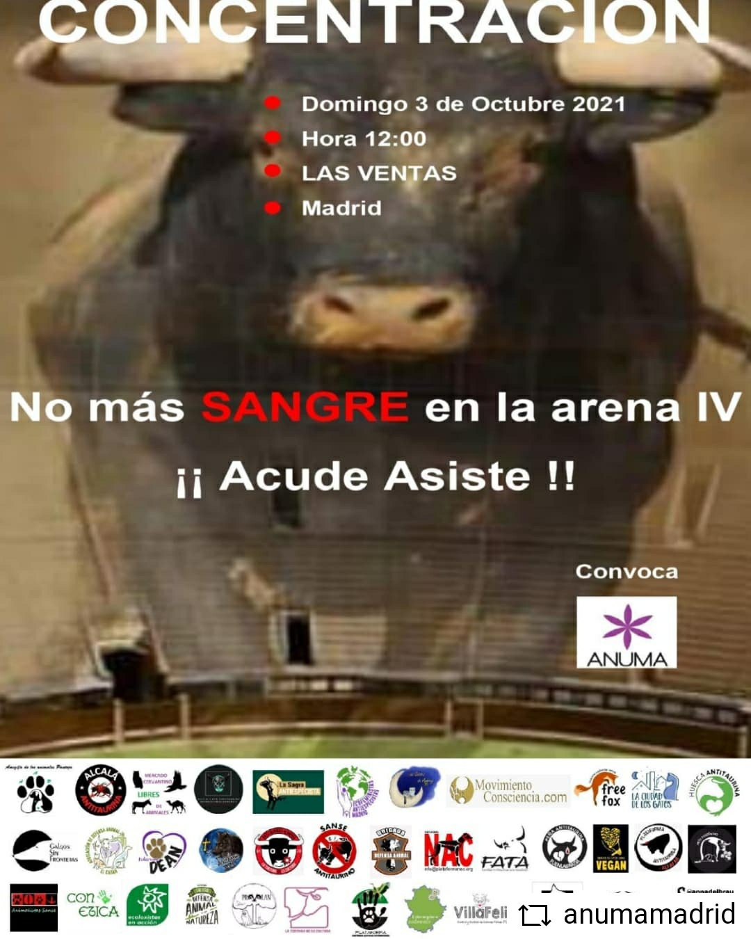 manifestacion antitaurina