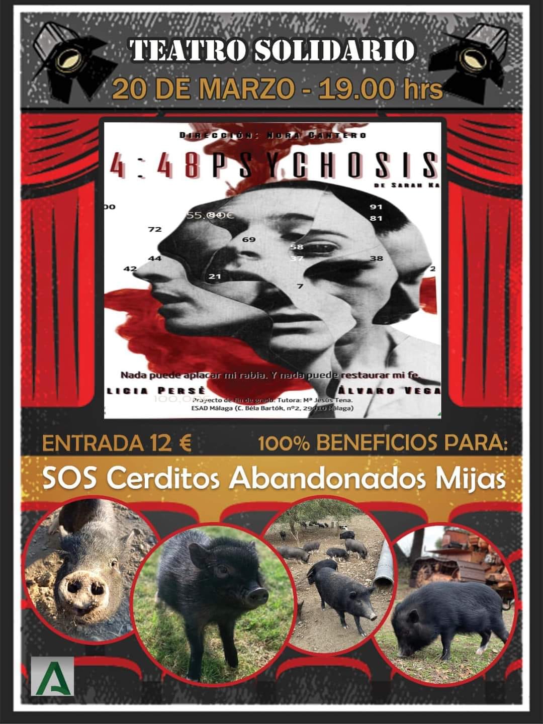 teatro solidario malaga