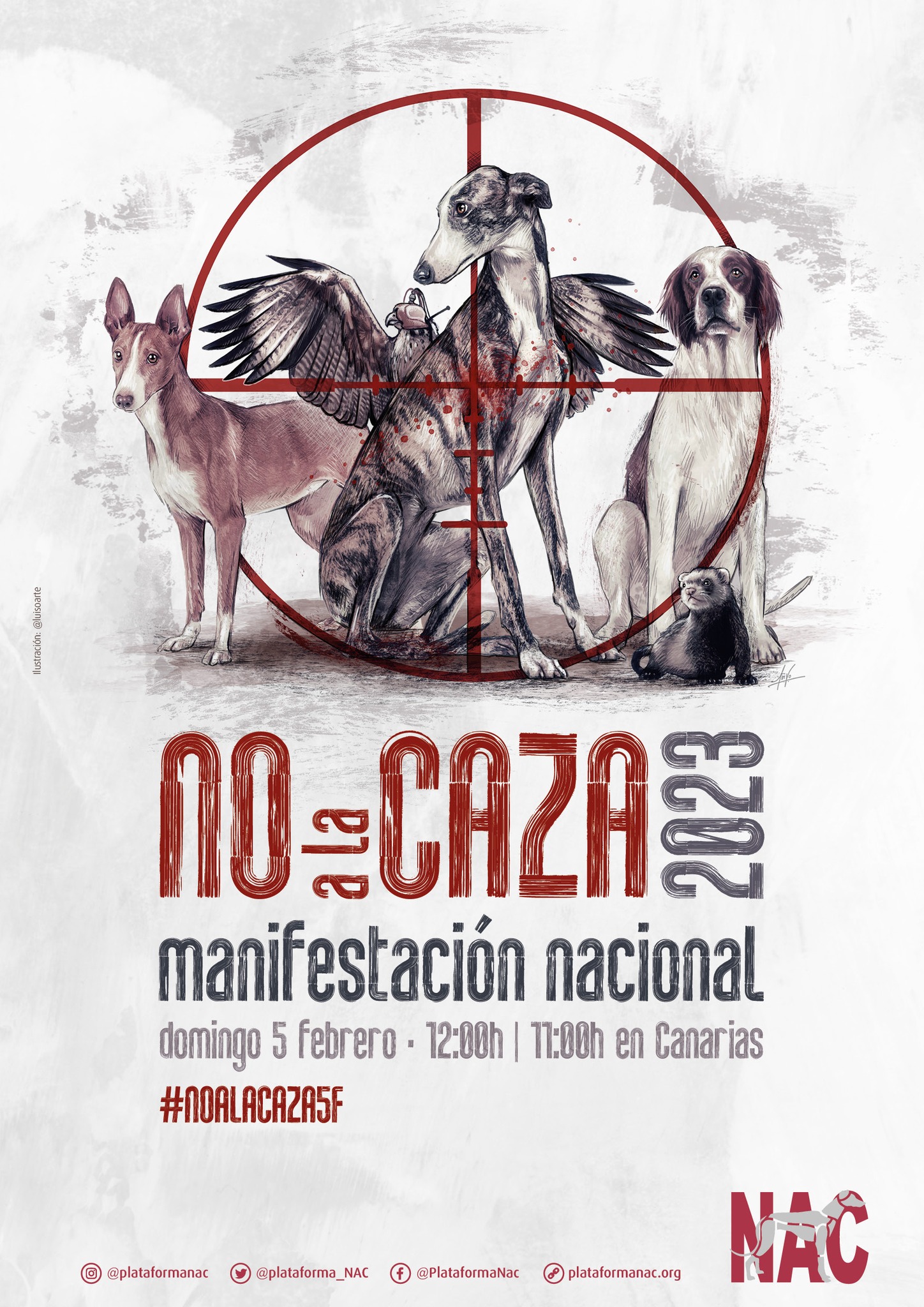 manifestacion no a la caza