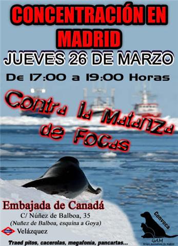 contra la matanza de focas