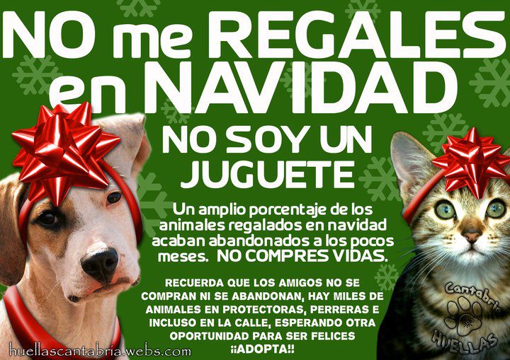no regalar animales