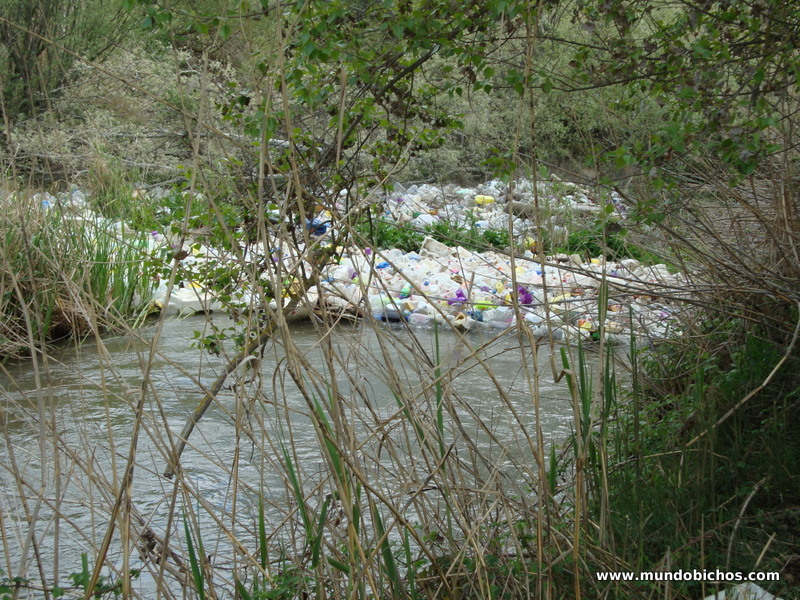 pesca rio guadarrama
