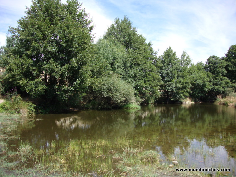 rio tormes el tejado 2012