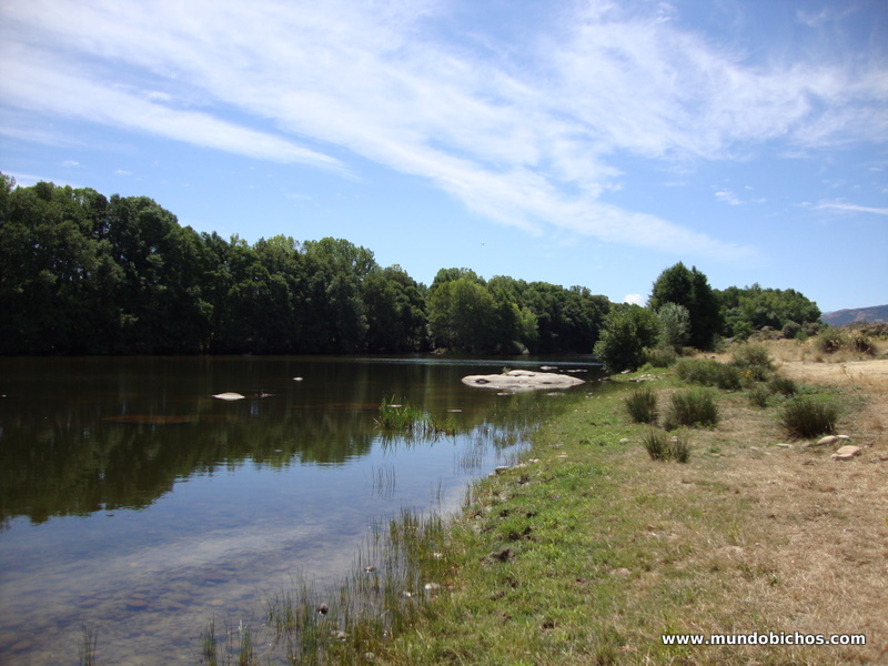 rio tormes el tejado 2012