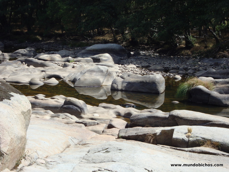 rio tormes el tejado 2012