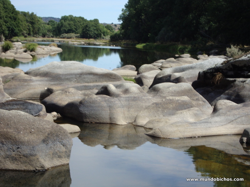 rio tormes el tejado 2012