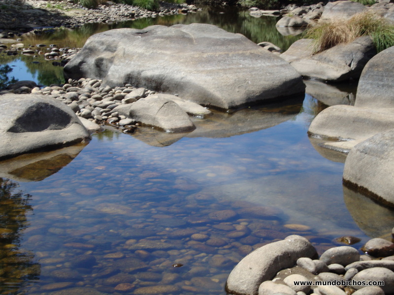 rio tormes el tejado 2012
