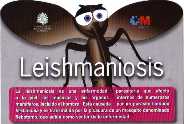 leishmaniosis 2012 fuenlabrada