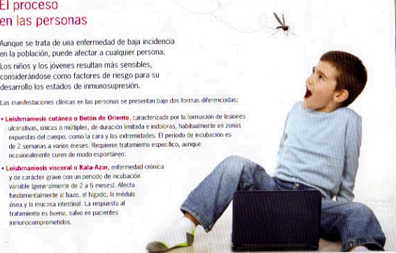 leishmaniosis 2012 fuenlabrada