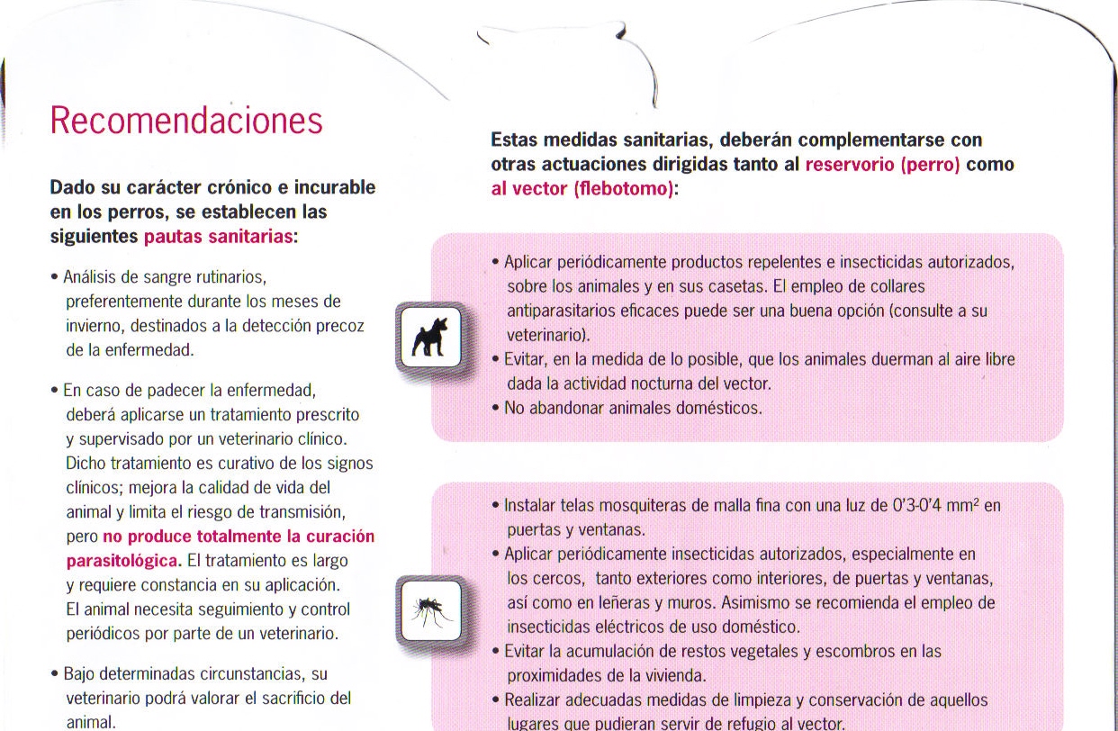 leishmaniosis 2012 fuenlabrada