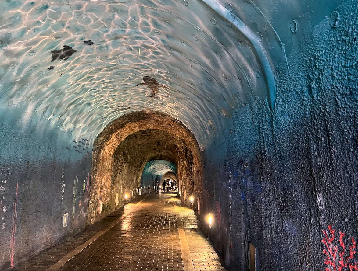laredo el tunel