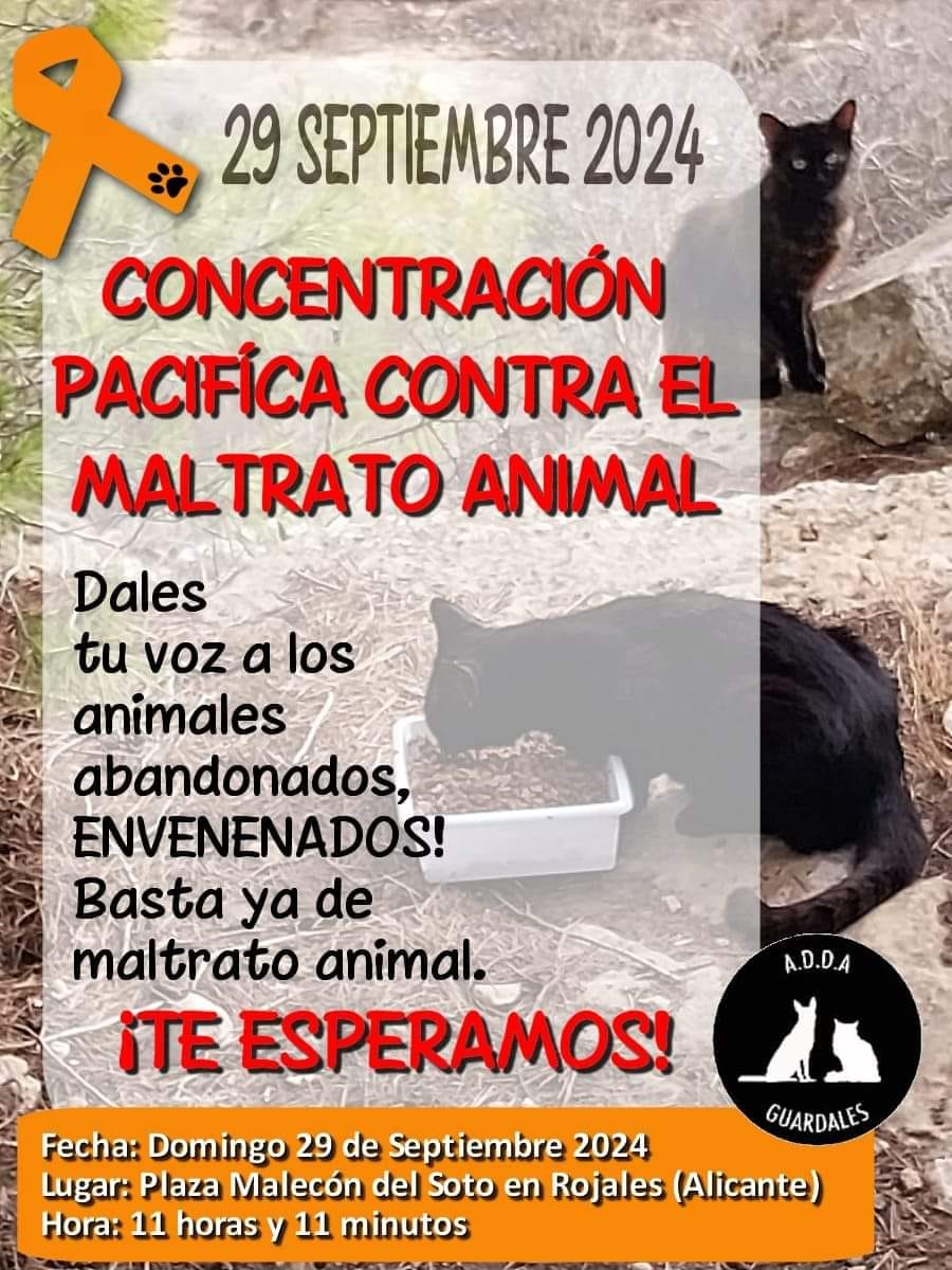 concerntracion contra el maltrato animal