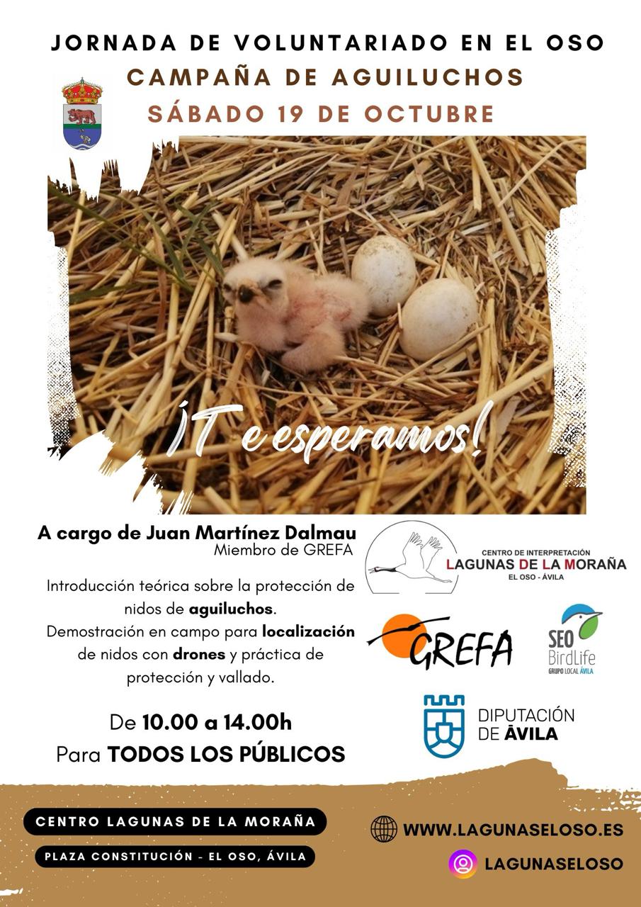 jornada voluntariado el oso