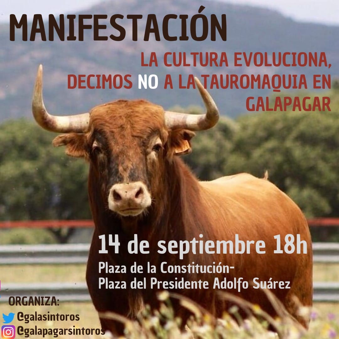 manifestacion antitarina galapagar