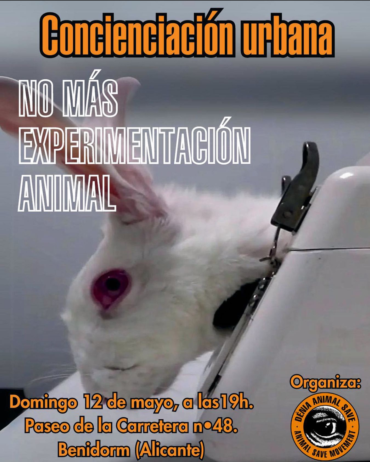 manifestacion contra la experimentacion animal