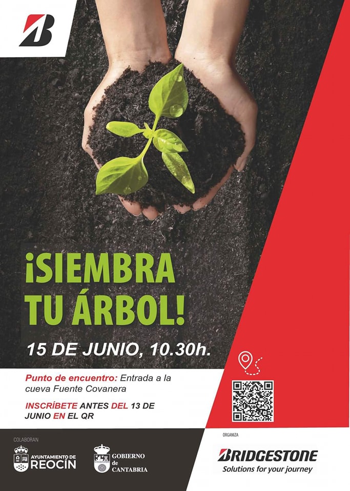 siembra arbol reocin