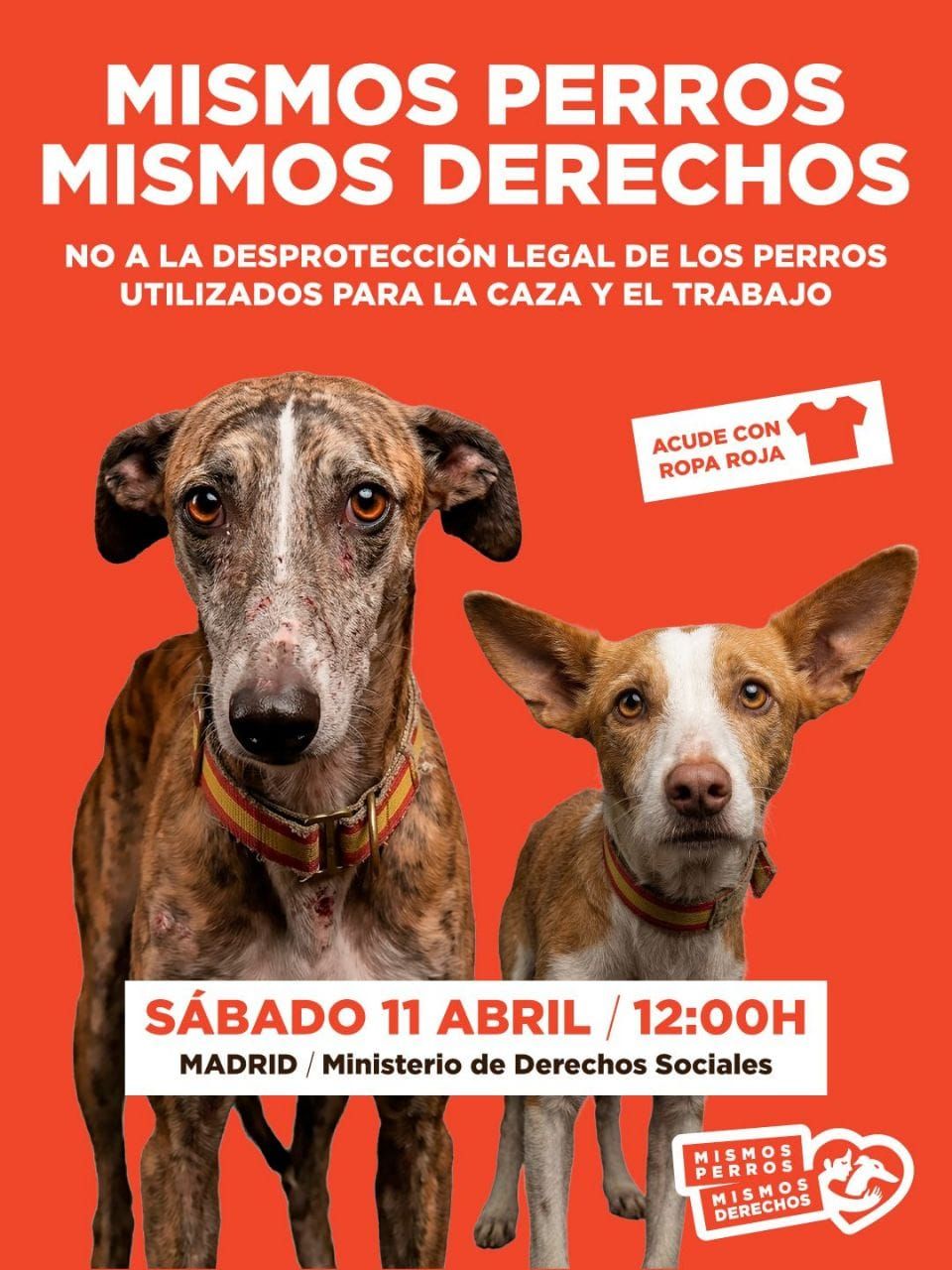 mismos perros mismos derechos manifestacion